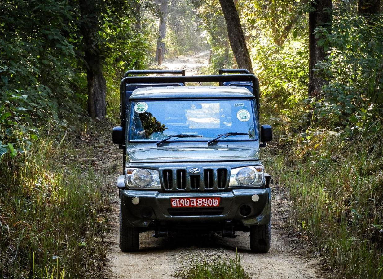 Bardia Wildlife Resort Bardiya Exteriör bild