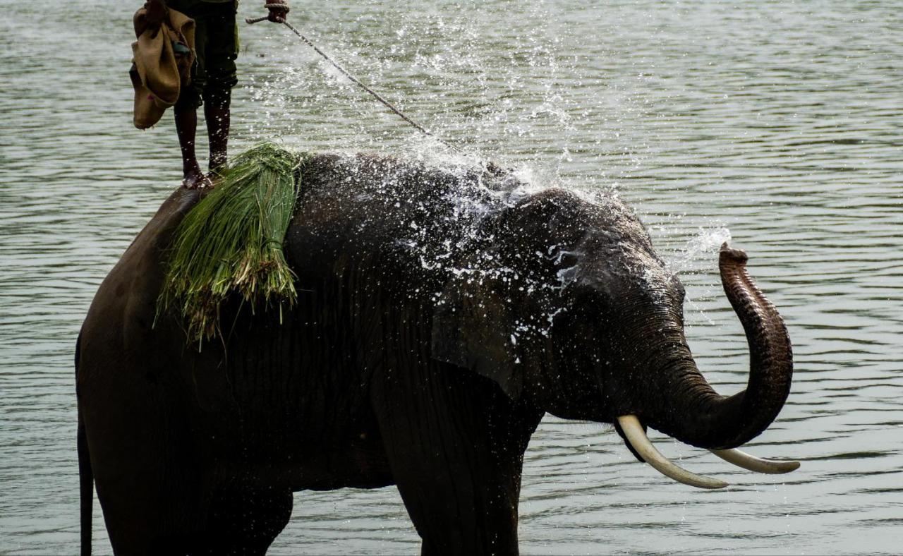 Bardia Wildlife Resort Bardiya Exteriör bild