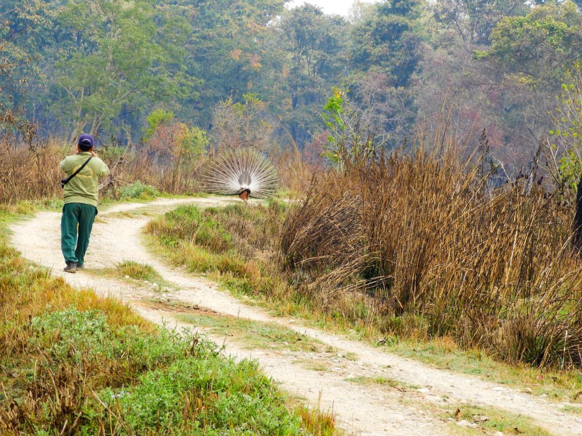 Bardia Wildlife Resort Bardiya Exteriör bild